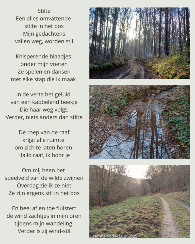 Stilte, innerlijke pelgrimstocht